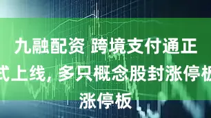 九融配资 跨境支付通正式上线, 多只概念股封涨停板